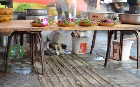 花夜是什么意思？花夜酒是什么意思