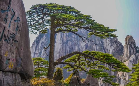 黄山哪个省的城市？华山是哪个省市的旅游景点