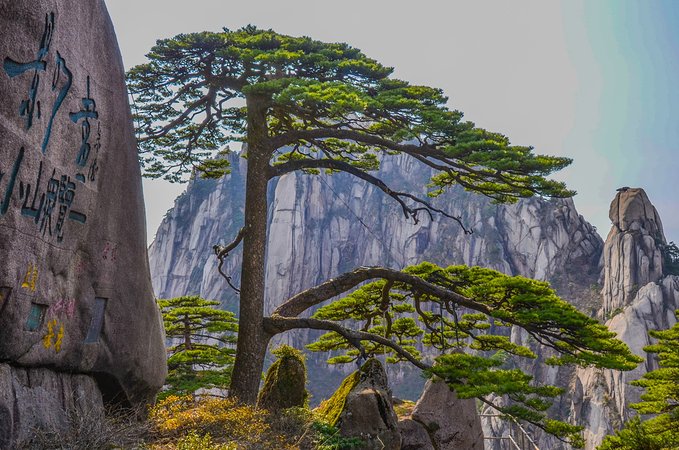 黄山哪个省的城市？华山是哪个省市的旅游景点