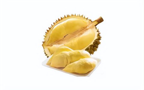 榴莲催熟的方法（榴莲怎么样才算熟）