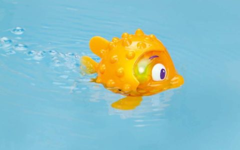 小鱼尾巴的作用是什么?鱼尾巴有什么用