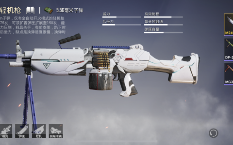 和平精英大菠萝什么枪（大菠萝枪叫什么名字）