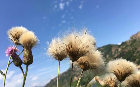 农历就是阴历吗？农历和是阴历的区别