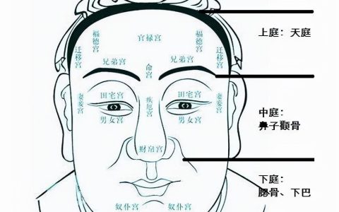 五官有哪些部位（面相五官是哪五官）