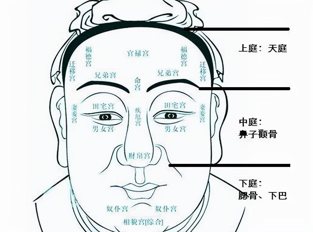 五官有哪些部位（面相五官是哪五官）
