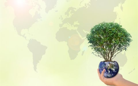 低碳环保有哪些方面？低碳环保包括哪些方面