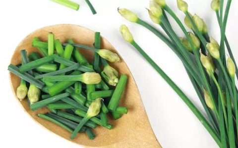 薹是什么意思?薹与苔有什么区别