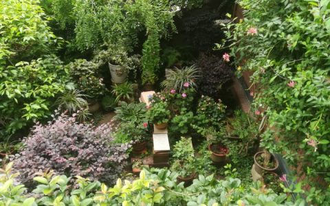 什么时候进入梅雨季节？几月份进入梅雨季节