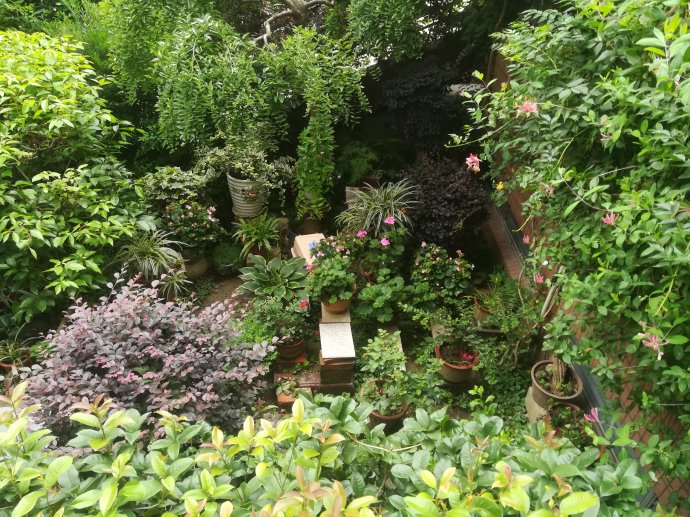 什么时候进入梅雨季节？几月份进入梅雨季节