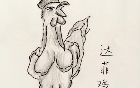 达菲鸡是什么？达菲鸡是什么意思
