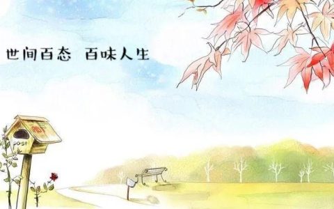 高端的食材那段台词完整版（舌尖上的中国经典台词）