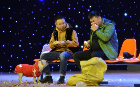 哑剧和默剧的区别（哑剧和默剧有什么不一样）
