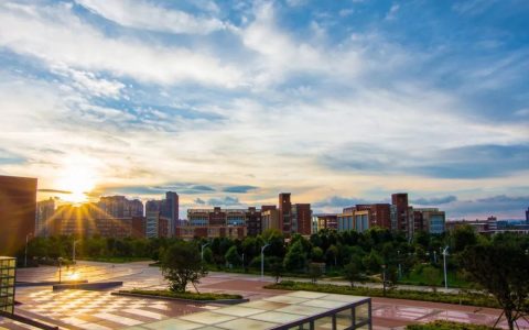 大学辅导员学历要求（大学辅导员是干什么的）