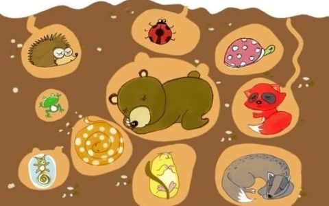 为什么动物要冬眠？哪些动物要冬眠过冬