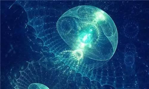 海蜇与水母的区别（水母是海蜇吗）