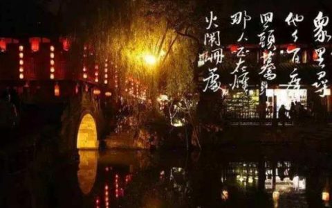 阑珊是表达什么意思?