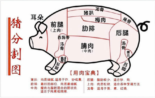 猪肉最嫩的部位（梅头肉是哪个部位的肉）