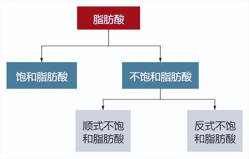 植脂末是什么？奶茶中的植脂末对人体有害吗