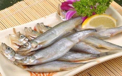 多春鱼是河鱼还是海鱼(多春鱼)