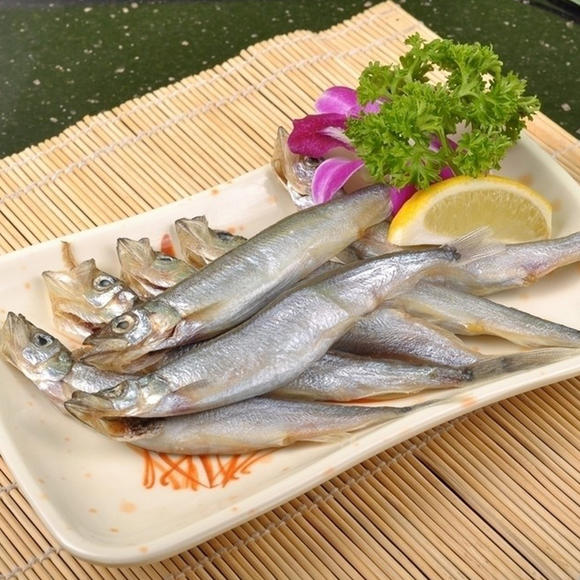 多春鱼是河鱼还是海鱼（多春鱼）
