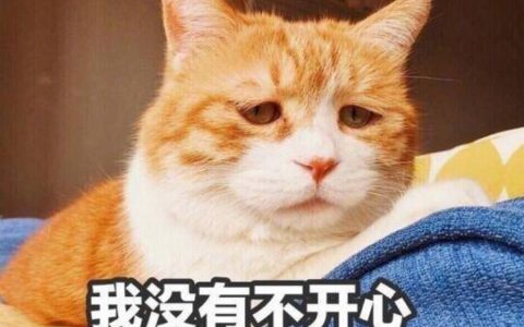 大怨种什么意思网络用语（大怨种啥意思东北话）