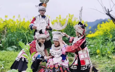 生苗和熟苗的区别（苗族怎么分生苗和熟苗）