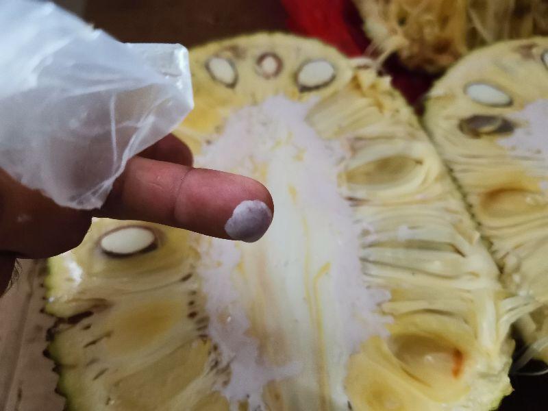 菠萝蜜的胶粘在手上怎么洗掉？