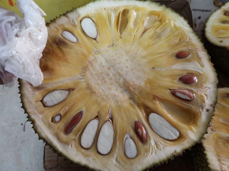 菠萝蜜的胶粘在手上怎么洗掉？