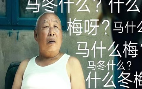 马冬梅是什么梗？马冬梅是什么意思