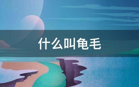 龟毛是什么意思？什么叫龟毛
