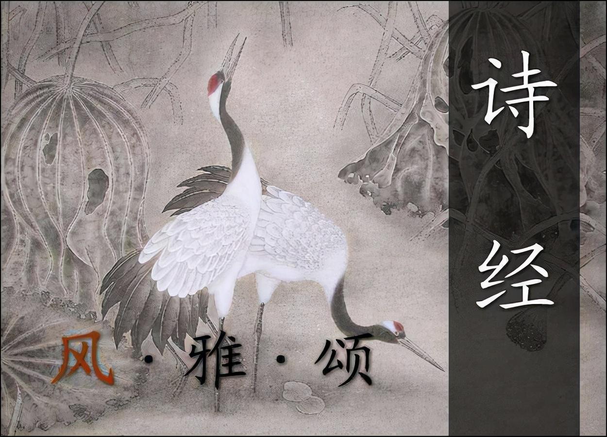 风雅颂指的是什么？风雅颂按什么标准划分的