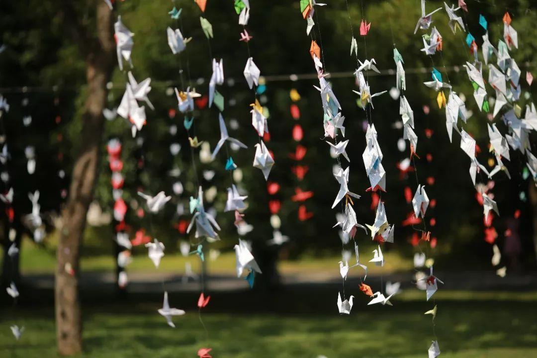 千纸鹤的传说，千纸鹤的寓意