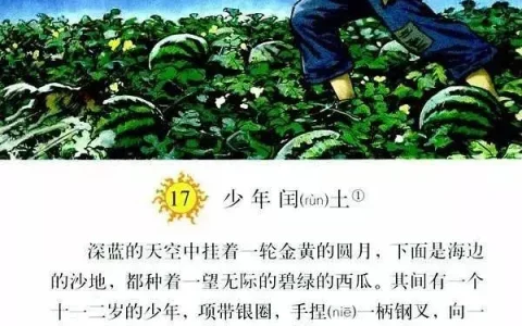 猹是什么动物?少年闰土里的猹是什么动物