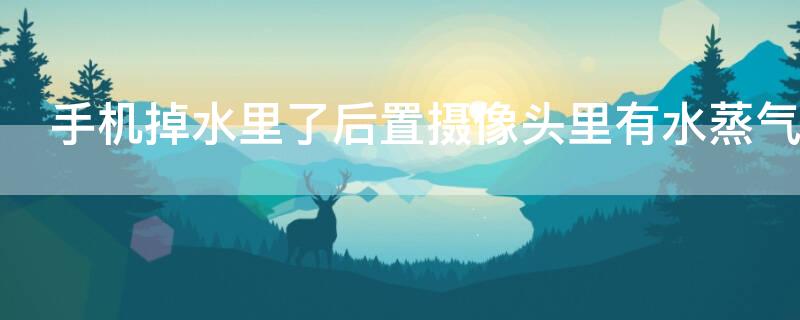 手机摄像头进水怎么去水雾？手机摄像头有水雾怎么办