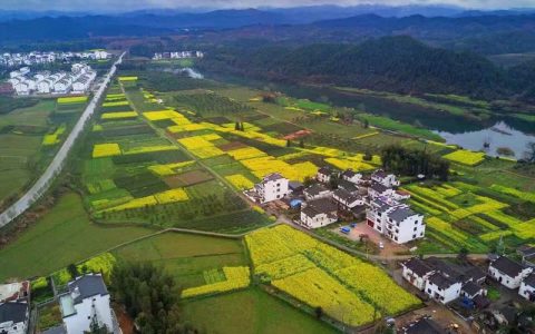 婺源县怎么读（婺源县是哪个省哪个市）