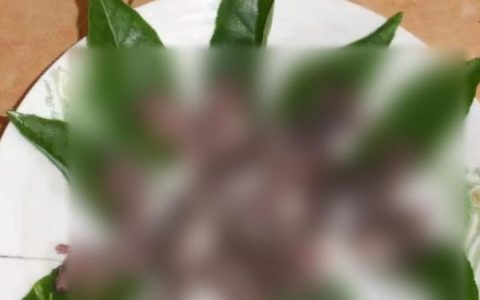 十大禁菜之一的“三吱儿”，“三吱儿”你敢吃吗？