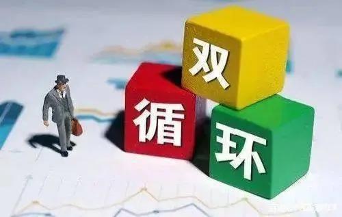 双循环是什么意思（双循环是什么）