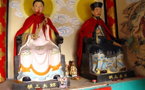 五仙是哪五个动物（五仙是哪五仙）