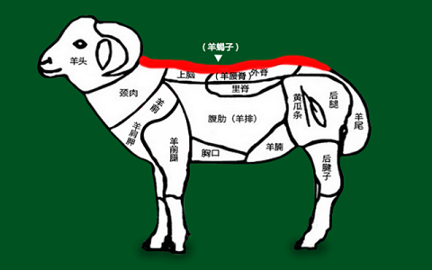 羊蝎子是啥（羊蝎子是羊的什么部位）