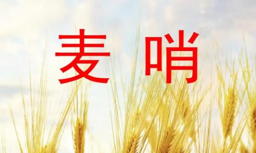 麦哨是什么？