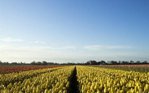 1000句超短情话超甜