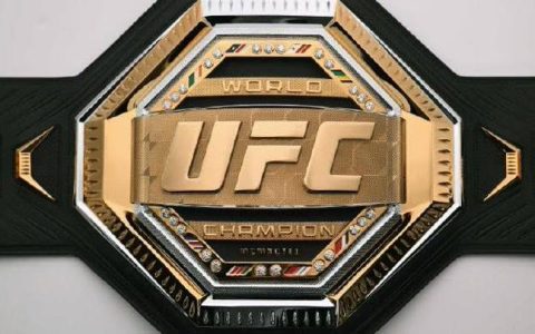 ufc是什么意思啊（ufc是什么）