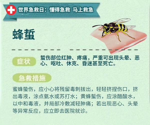 世界急救日，应急救护科普知识