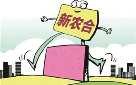 新农合是什么意思（新农合和社保的区别）