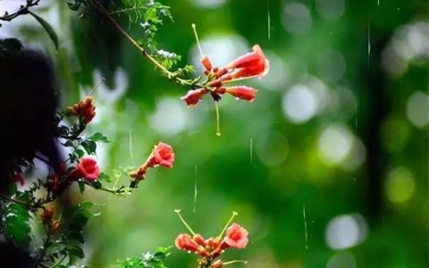 南京梅雨季节是几月份（南京梅雨季节是什么时间）