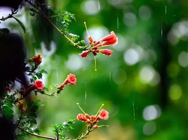 南京梅雨季节是几月份（南京梅雨季节是什么时间）