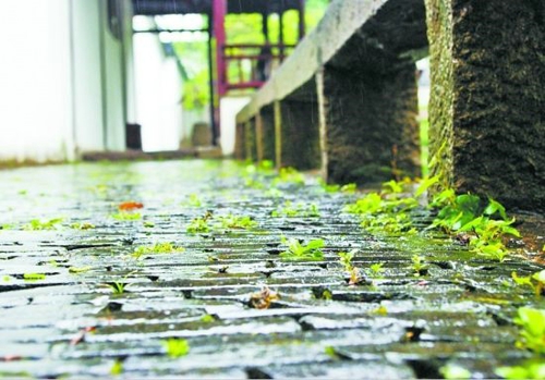 南京梅雨季节是几月份（南京梅雨季节是什么时间）