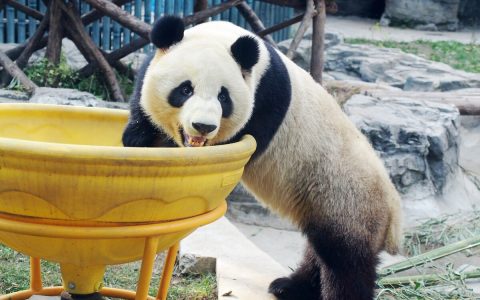 能立刻把人逗笑的笑话