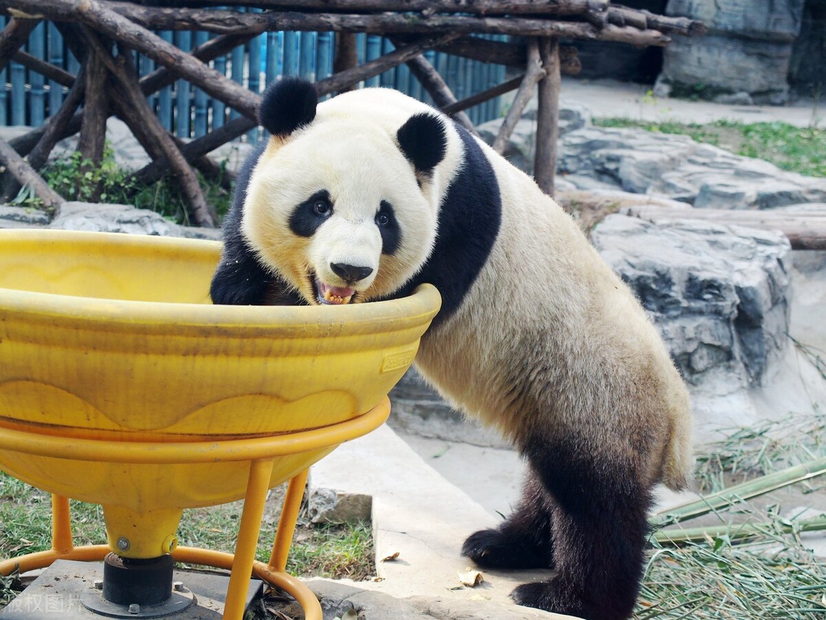 能立刻把人逗笑的笑话