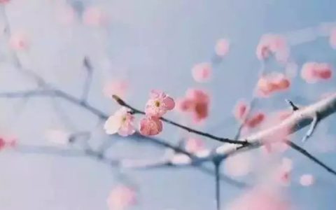感叹人生聚散的句子